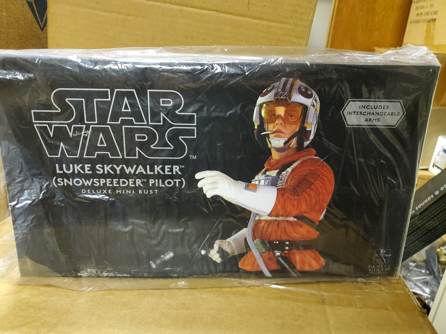 Star Wars Luke Skywalker Snowspeeder Pilot Deluxe mini bust by Gentle Giant