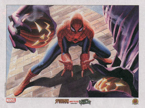 Alex Ross Spider-Man vs Green Goblin lithograph