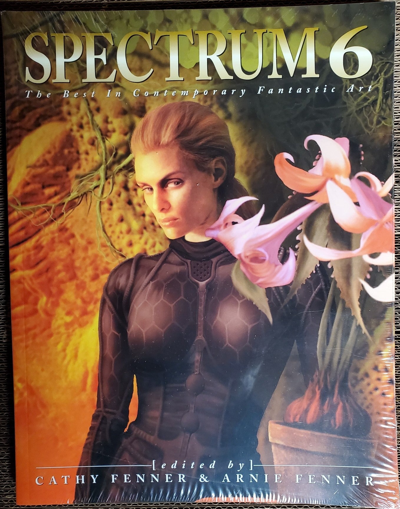 Spectrum 6 The Best in Contemporary Fantastic Art TPB