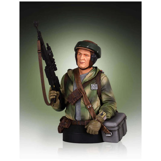 Star Wars Endor Trooper mini bust