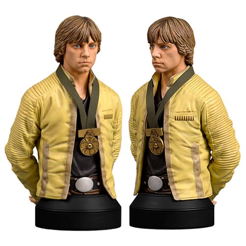 Star Wars Luke Hero of Yavin mini bust