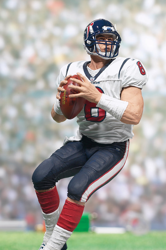 NFL Football series 7 DAVID CARR action figure
