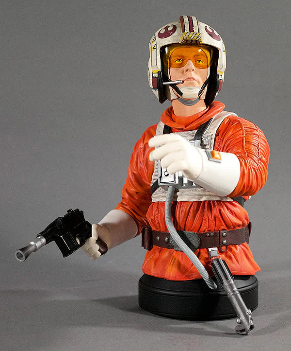 Star Wars Luke Skywalker Snowspeeder Pilot Deluxe mini bust by Gentle Giant